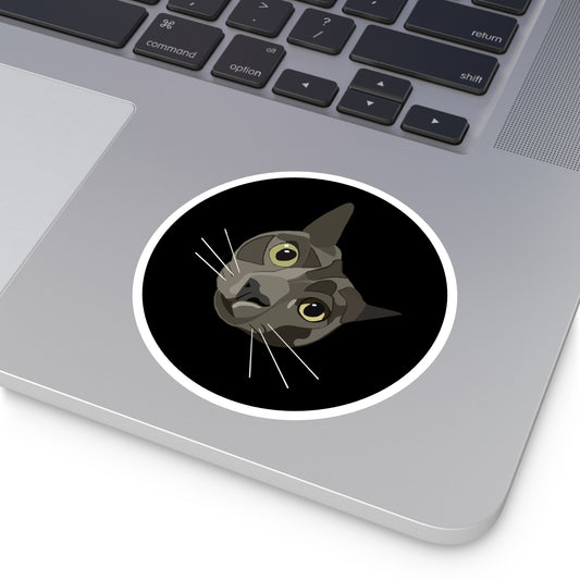 Simon, Stickers.